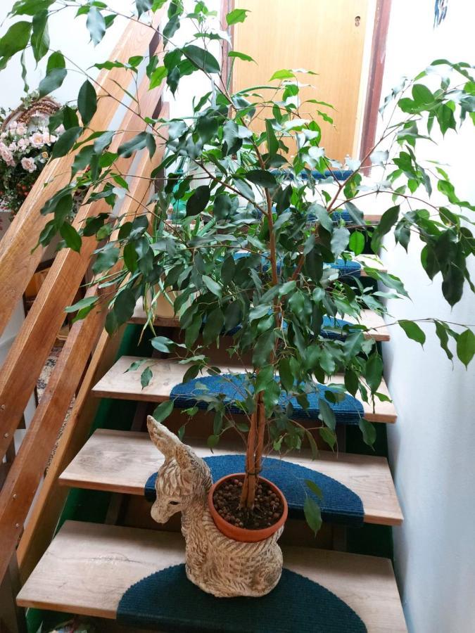 Ferienwohnung Apartma Reich Ptuj Exterior foto
