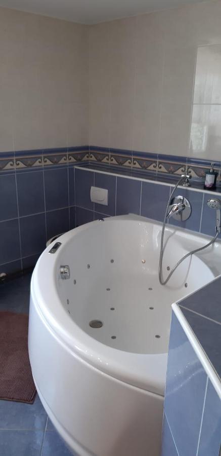 Ferienwohnung Apartma Reich Ptuj Exterior foto